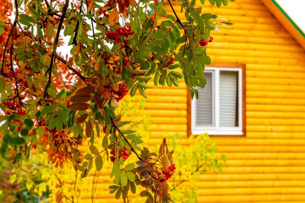 Garden Window Replacement Service